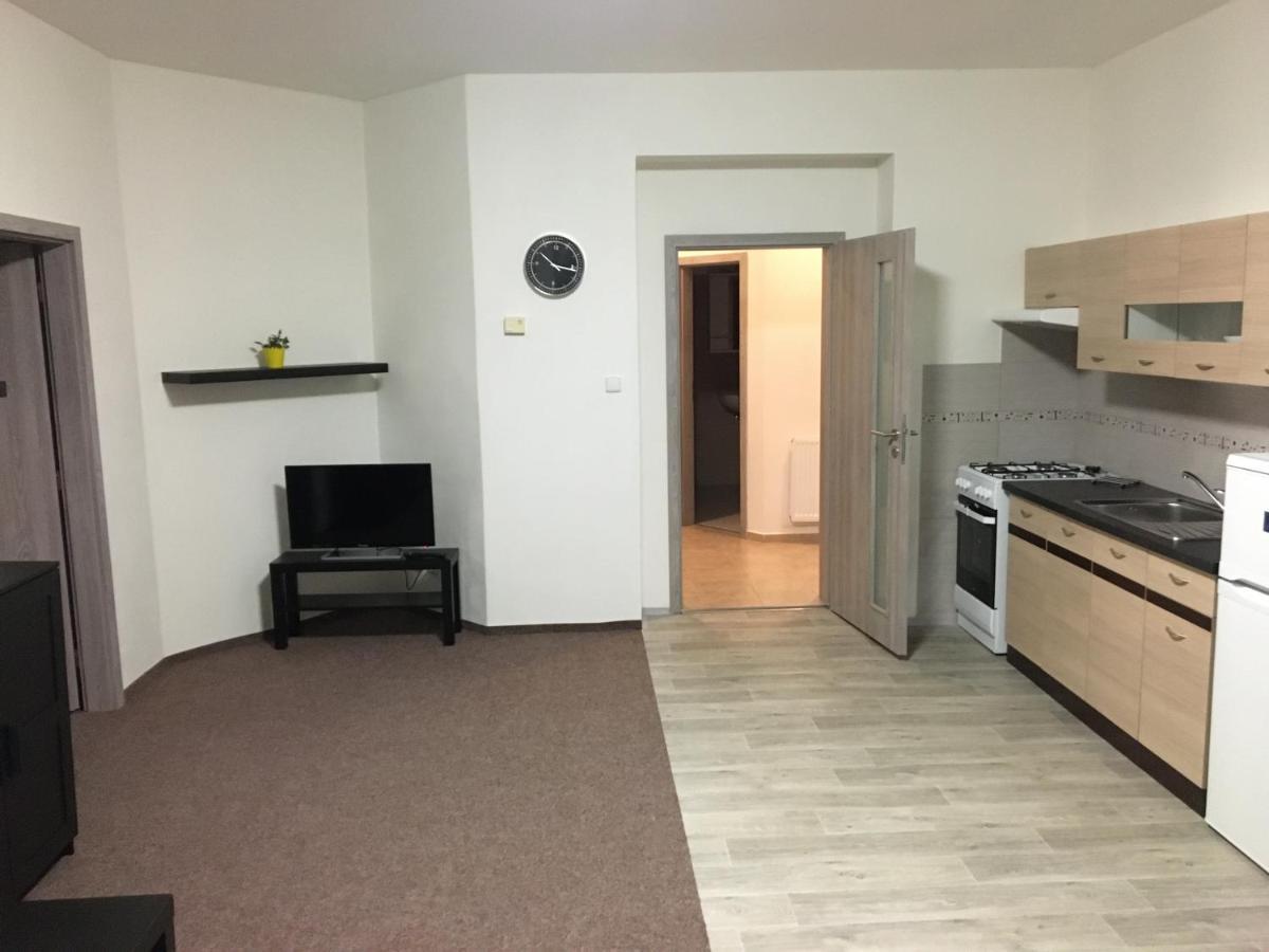 Apartmany U Muzea Decin Exteriör bild