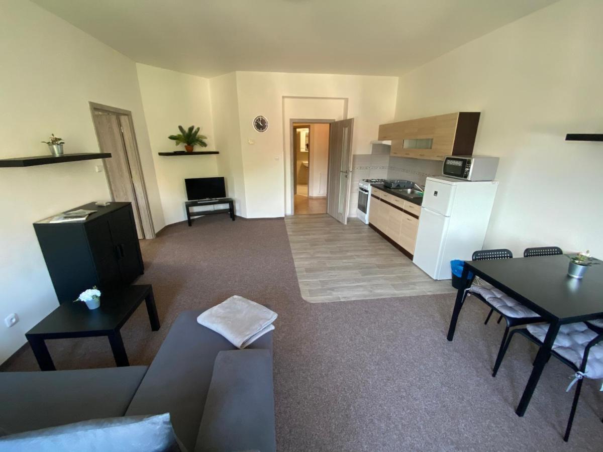 Apartmany U Muzea Decin Exteriör bild